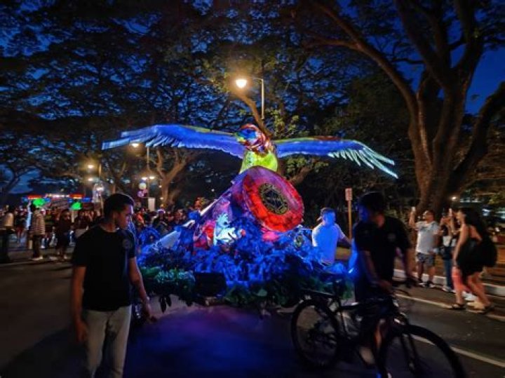 Trailblazing Artistry And Social Activism